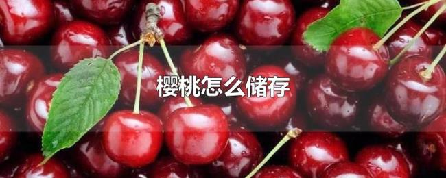 樱桃怎么储存 樱桃怎么储存