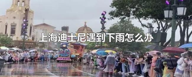 上海迪士尼遇到下雨怎么办 上海迪士尼遇到下雨怎么办