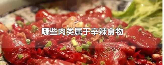 哪些肉类属于辛辣食物 哪些肉类属于辛辣食物