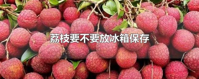 荔枝要不要放冰箱保存 荔枝要不要放冰箱保存