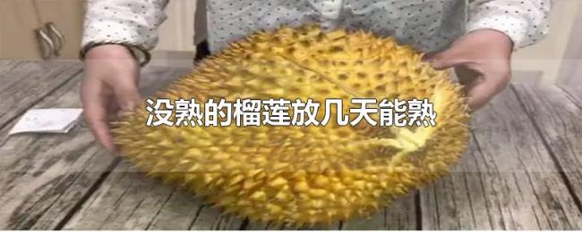 没熟的榴莲放几天能熟 没熟的榴莲放几天能熟