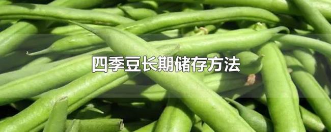 四季豆长期储存方法 四季豆长期储存方法
