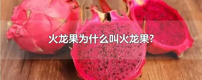 火龙果为什么叫火龙果? 火龙果为什么叫火龙果?