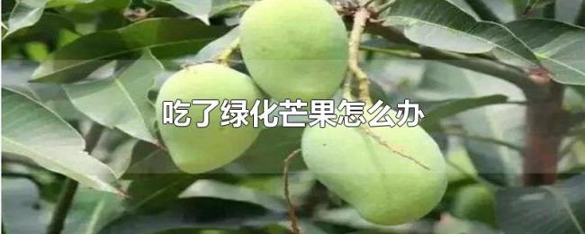 吃了绿化芒果怎么办 吃了绿化芒果怎么办