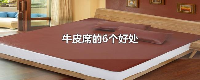 牛皮席的6个好处