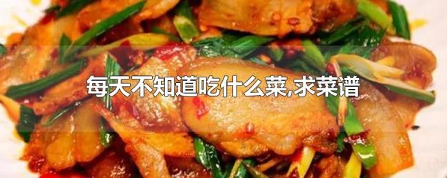 每天不知道吃什么菜,求菜谱 每天不知道吃什么菜,求菜谱