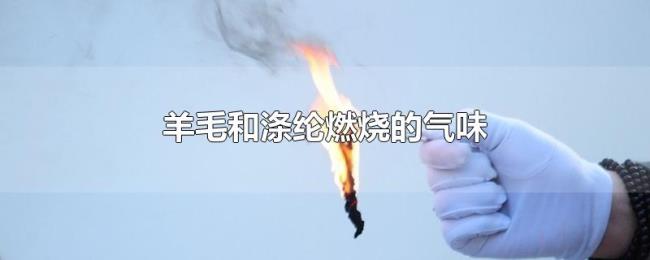 羊毛和涤纶燃烧的气味 羊毛和涤纶燃烧的气味