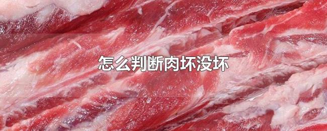 怎么判断肉坏没坏 怎么判断肉坏没坏