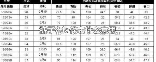 裤子84a代表什么意思
