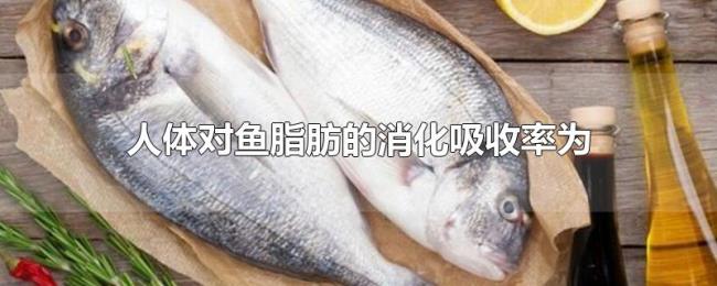 人体对鱼脂肪的消化吸收率为 人体对鱼脂肪的消化吸收率为