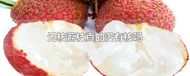 无核荔枝真的没有核吗 无核荔枝真的没有核吗