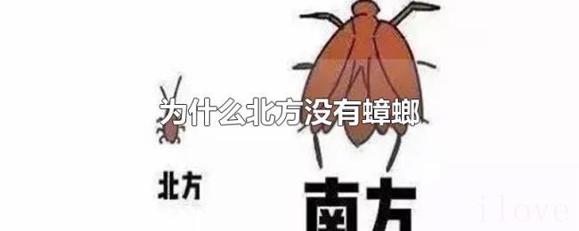 为什么北方没有蟑螂 为什么北方没有蟑螂