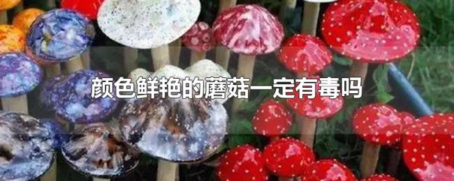 颜色鲜艳的蘑菇一定有毒吗 颜色鲜艳的蘑菇一定有毒吗