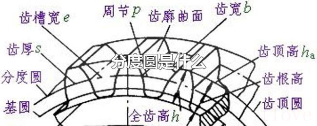 分度圆是什么 分度圆是什么