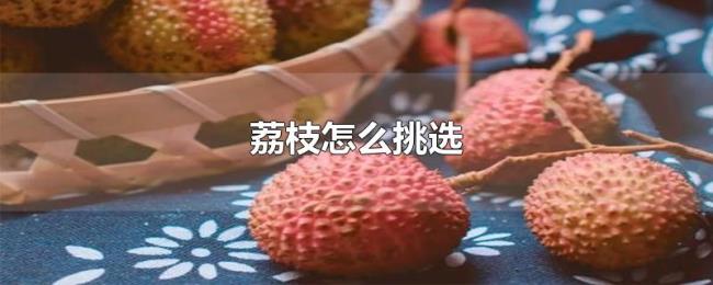 荔枝怎么挑选 荔枝怎么挑选