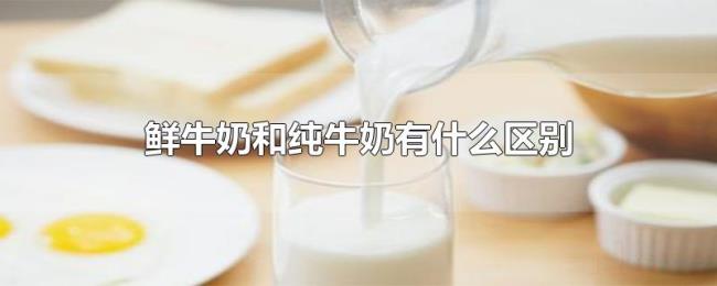 鲜牛奶和纯牛奶有什么区别 鲜牛奶和纯牛奶有什么区别