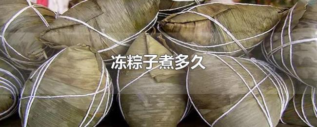 冻粽子煮多久 冻粽子煮多久