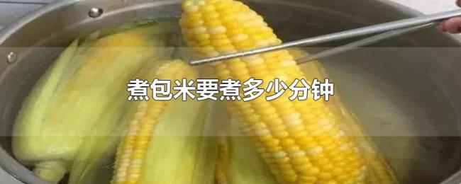 煮包米要煮多少分钟