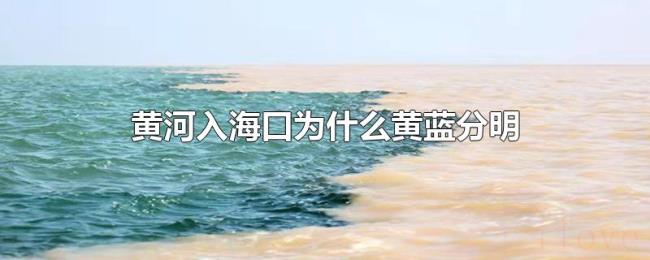 黄河入海口为什么黄蓝分明