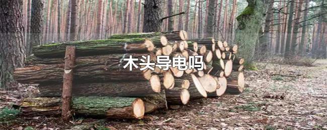 木头导电吗 木头导电吗