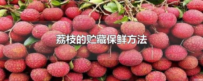荔枝的贮藏保鲜方法 荔枝的贮藏保鲜方法