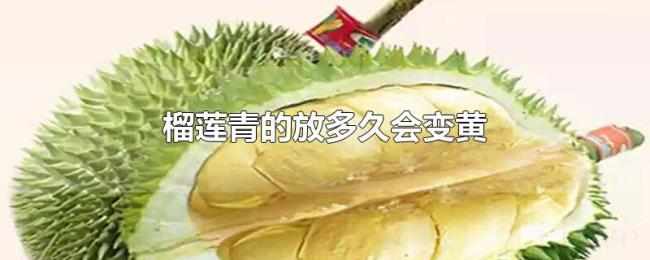 榴莲青的放多久会变黄 榴莲青的放多久会变黄