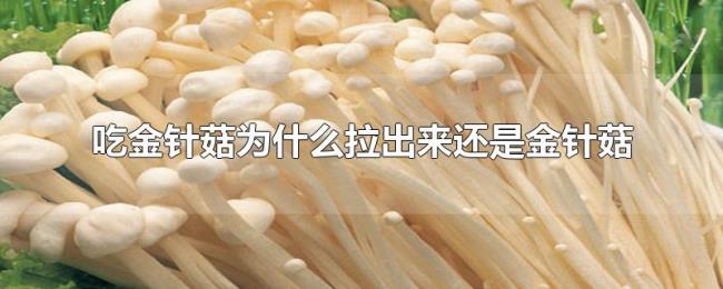 吃金针菇为什么拉出来还是金针菇 吃金针菇为什么拉出来还是金针菇