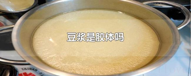 豆浆是胶体吗 豆浆是胶体吗