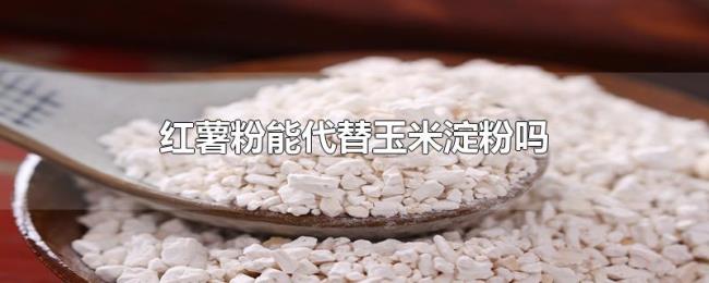 红薯粉能代替玉米淀粉吗 红薯粉能代替玉米淀粉吗