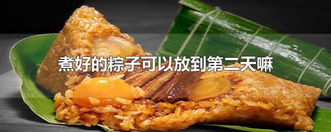 煮好的粽子可以放到第二天嘛 煮好的粽子可以放到第二天嘛