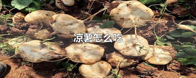 凉薯怎么吃 凉薯怎么吃