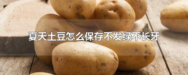 夏天土豆怎么保存不发绿不长牙 夏天土豆怎么保存不发绿不长牙