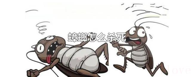 蟑螂怎么杀死 蟑螂怎么杀死