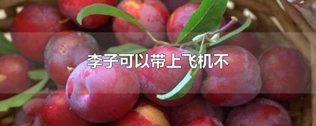 李子可以带上飞机不 李子可以带上飞机不