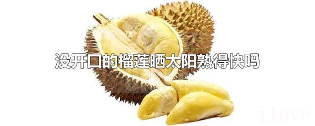 没开口的榴莲晒太阳熟得快吗 没开口的榴莲晒太阳熟得快吗