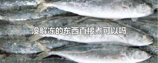 没解冻的东西直接煮可以吗 没解冻的东西直接煮可以吗