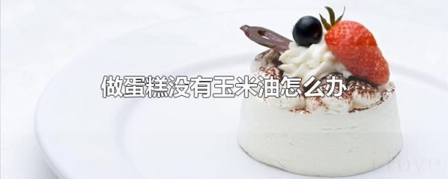 做蛋糕没有玉米油怎么办 做蛋糕没有玉米油怎么办