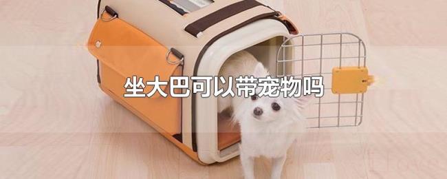 坐大巴可以带宠物吗 坐大巴可以带宠物吗