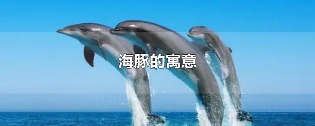 海豚的寓意