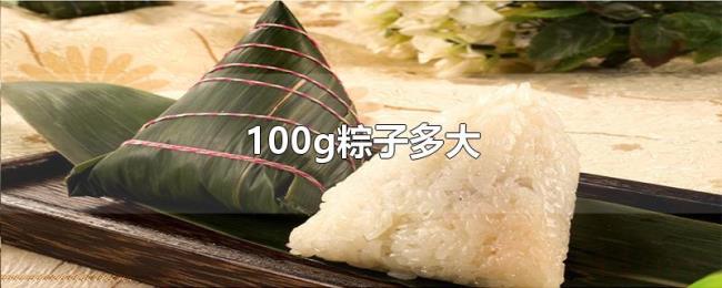 100g粽子多大 100g粽子多大