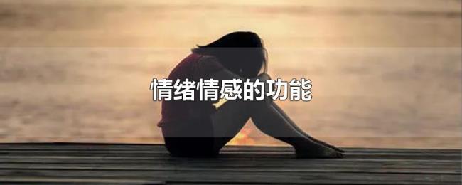 情绪情感的功能