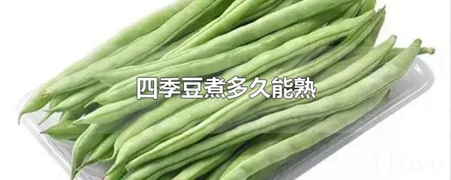 四季豆煮多久能熟