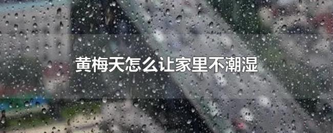 黄梅天怎么让家里不潮湿