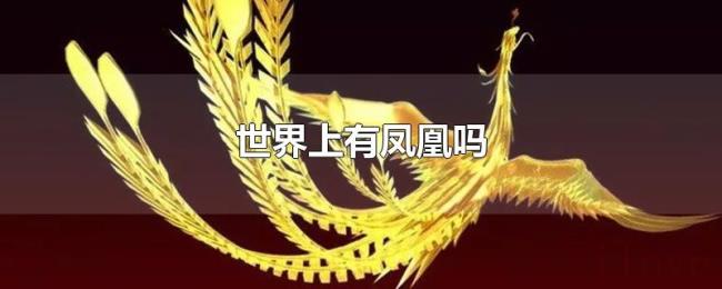 世界上有凤凰吗 世界上有凤凰吗