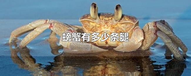 螃蟹有多少条腿 螃蟹有多少条腿