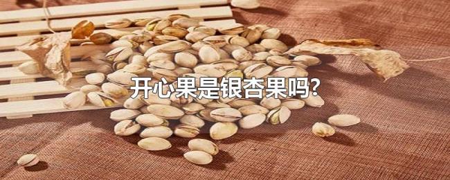开心果是银杏果吗? 开心果是银杏果吗?