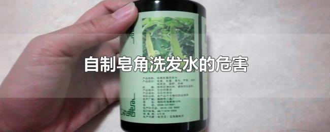自制皂角洗发水的危害 自制皂角洗发水的危害