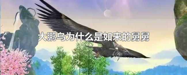 大鹏鸟为什么是如来的舅舅 大鹏鸟为什么是如来的舅舅