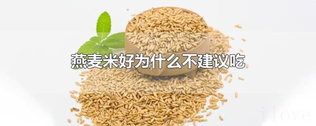 燕麦米好为什么不建议吃 燕麦米好为什么不建议吃