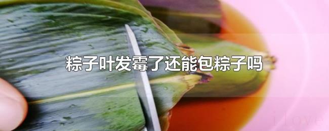 粽子叶发霉了还能包粽子吗 粽子叶发霉了还能包粽子吗